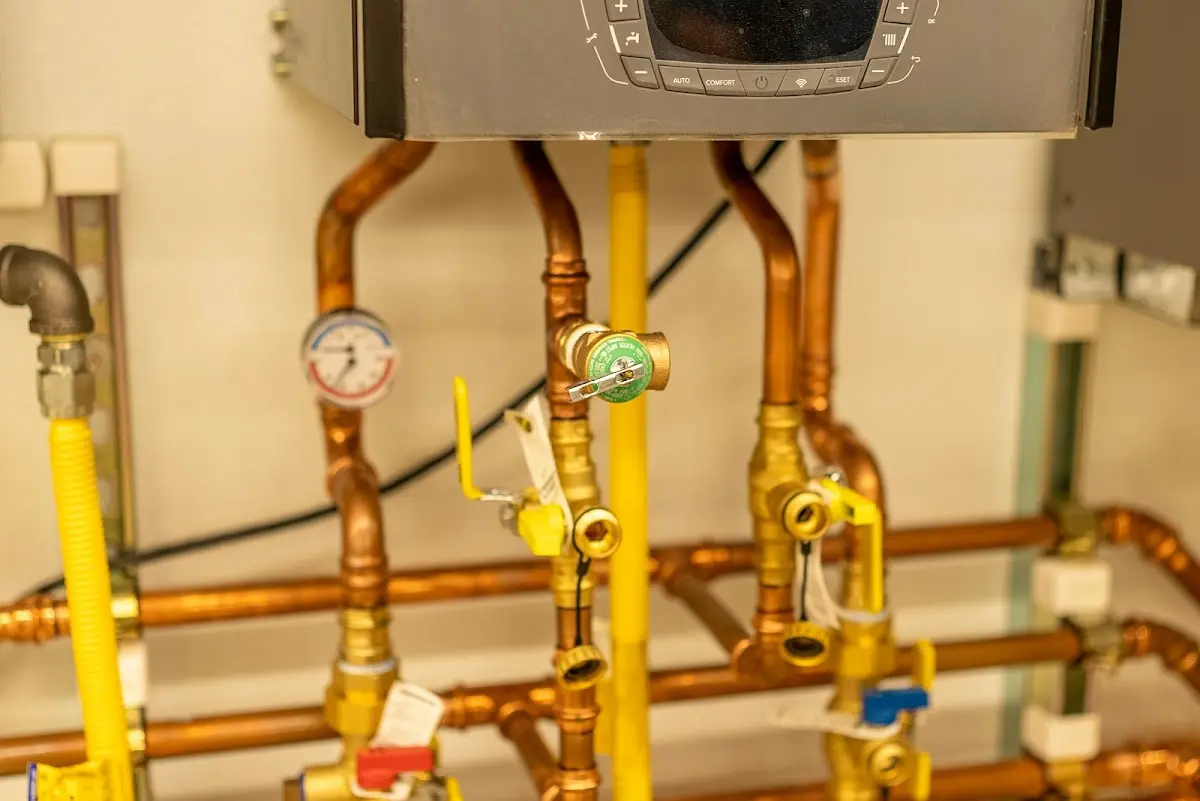 Licensed technician providing Emergency Plumbing for a homeowner in Berrien